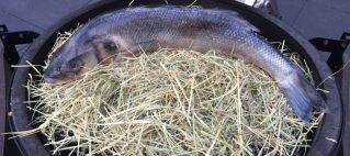 Corvina op een bedje van hooi